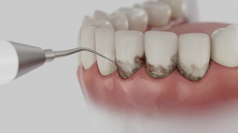 Reliable Dental contractor in Eton, GA by Dentist Open Now